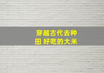 穿越古代去种田 好吃的大米